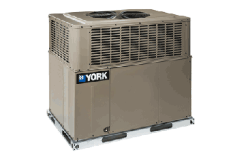 YORK UPGNet